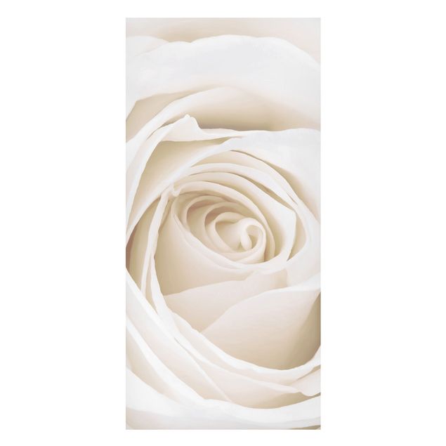 Magnet boards flower Pretty White Rose
