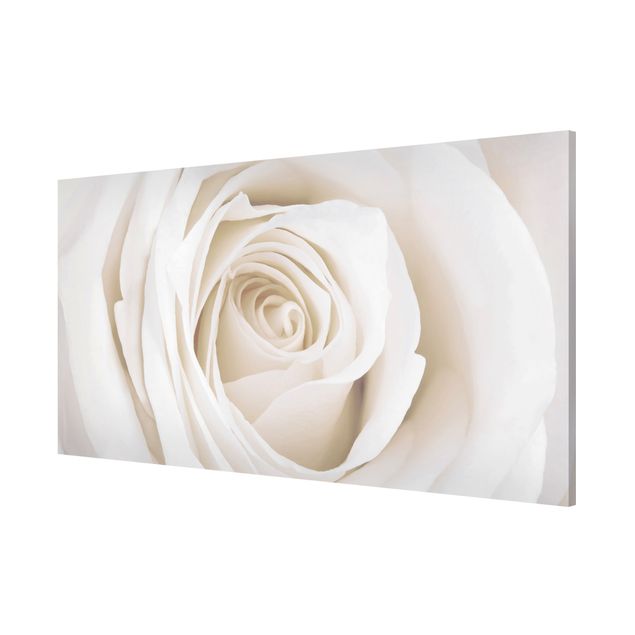 Prints floral Pretty White Rose