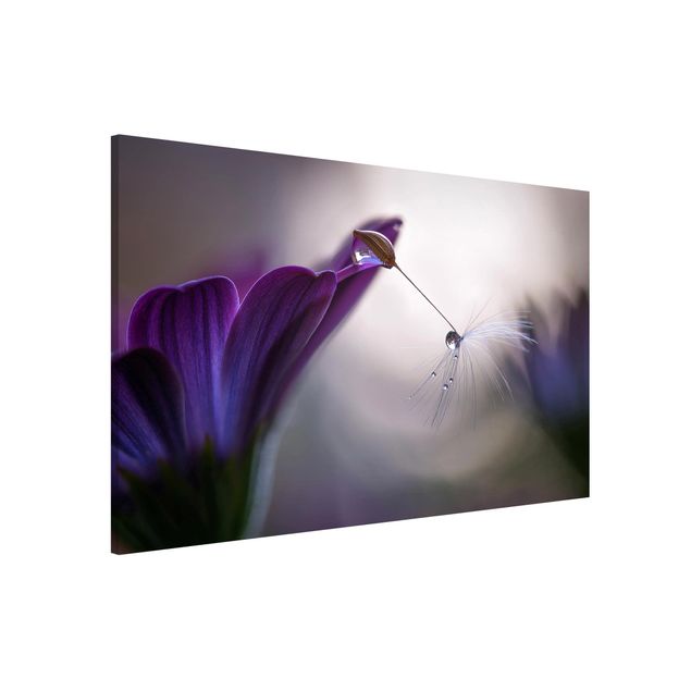 Magnet boards flower Purple Rain