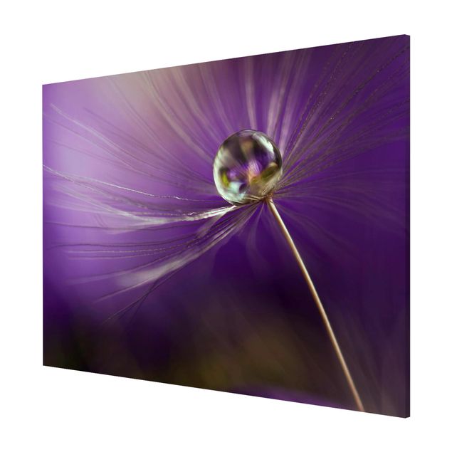 Flower print Dandelion In Violet