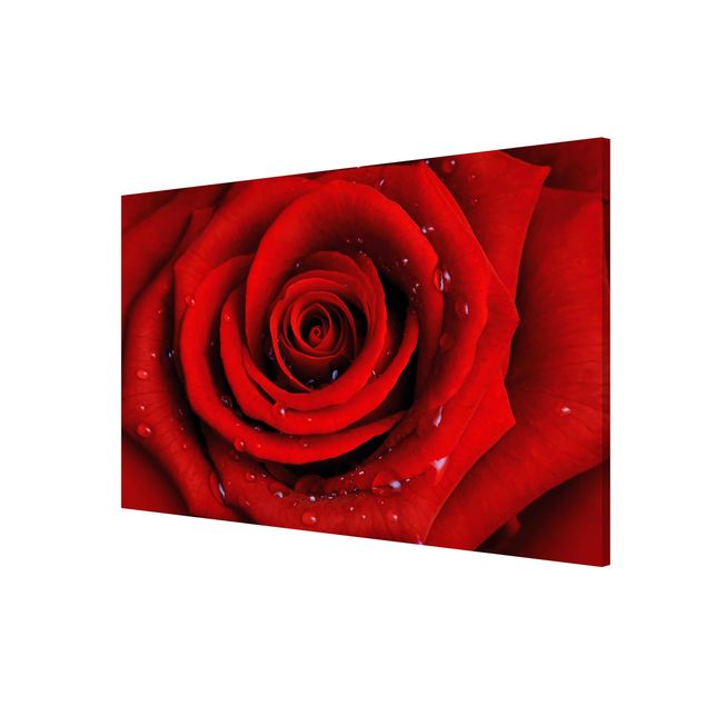 Flower print Red Rose With Water Drops