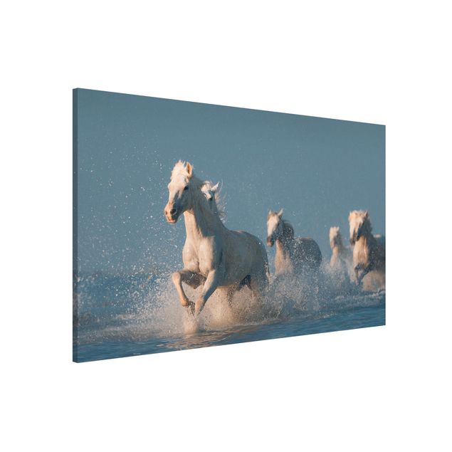 Magnet boards animals Herd Of White Horses