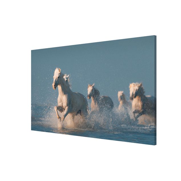Prints modern Herd Of White Horses