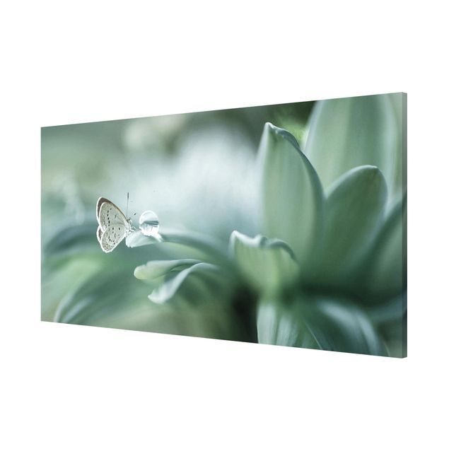 Magnet boards flower Butterfly And Dew Drops In Pastel Green