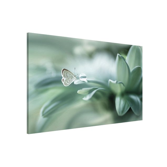 Kitchen Butterfly And Dew Drops In Pastel Green