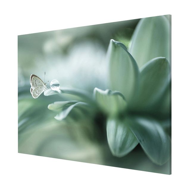 Magnet boards flower Butterfly And Dew Drops In Pastel Green