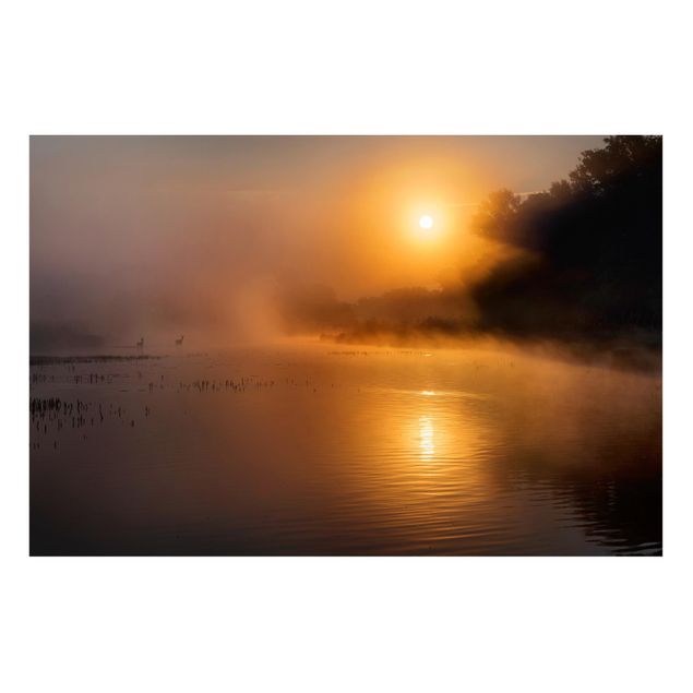 Landscape wall art Sunrise on the lake with deers in the fog