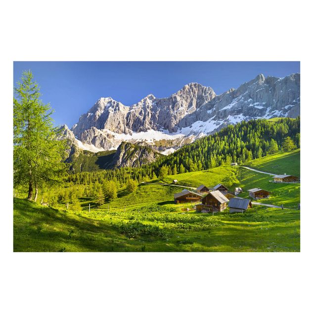 Landscape canvas prints Styria Alpine Meadow