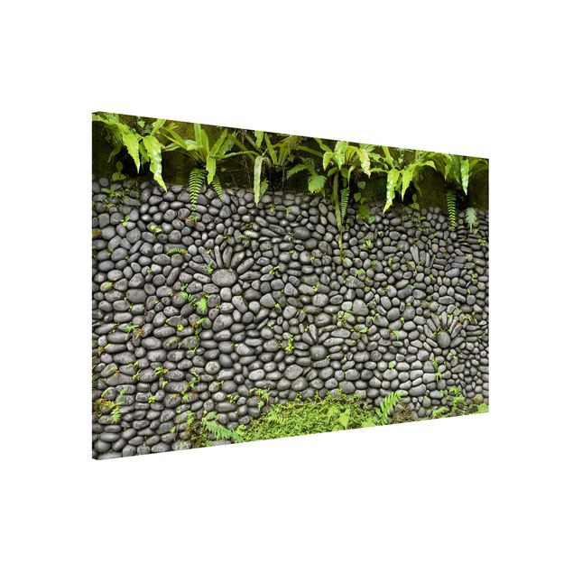 Kitchen Stone Wall With Plants