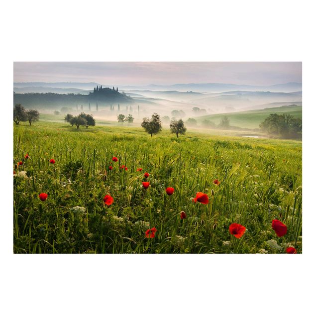 Prints landscape Tuscan Spring