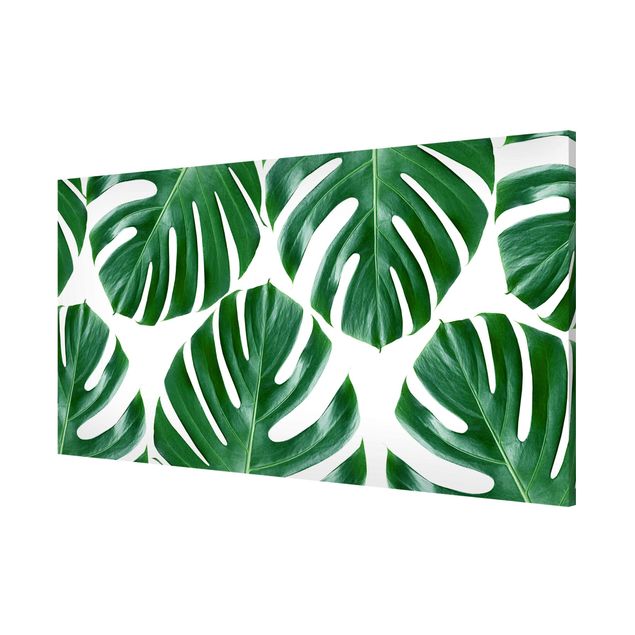 Prints floral Tropical Green Leaves Monstera