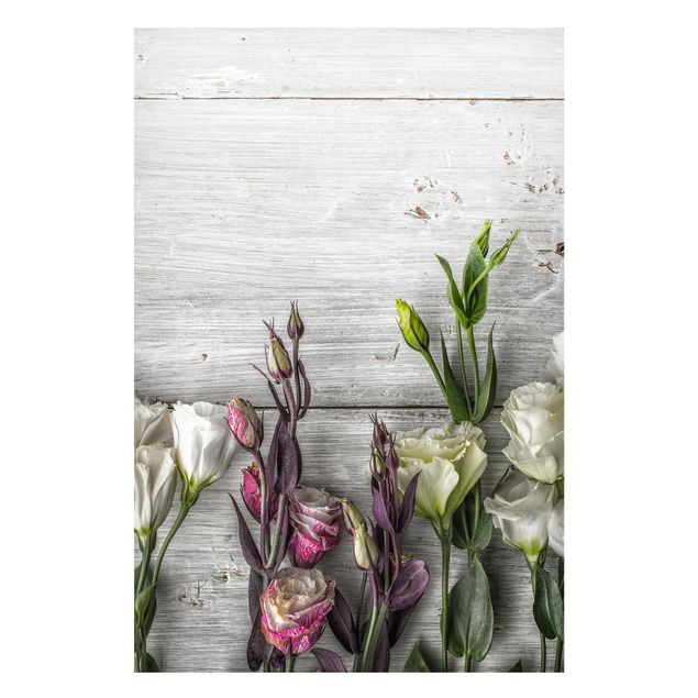 Prints floral Tulip Rose Shabby Wood Look