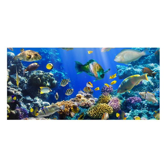 Prints landscape Underwater Reef