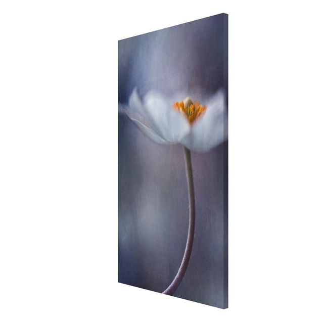 Flower print White Windflower