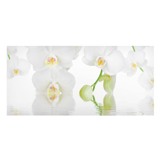 Orchid print Spa Orchid - White Orchid