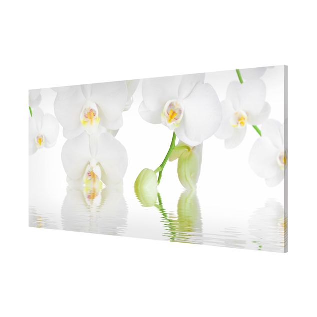 Magnet boards flower Spa Orchid - White Orchid