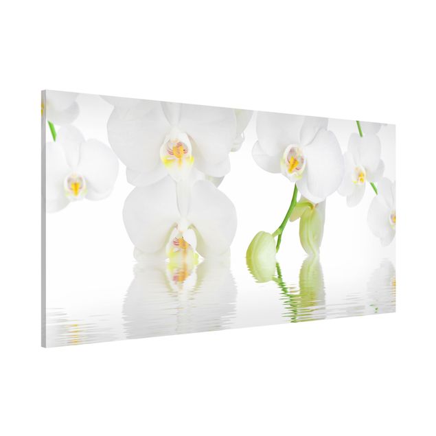 Kitchen Spa Orchid - White Orchid