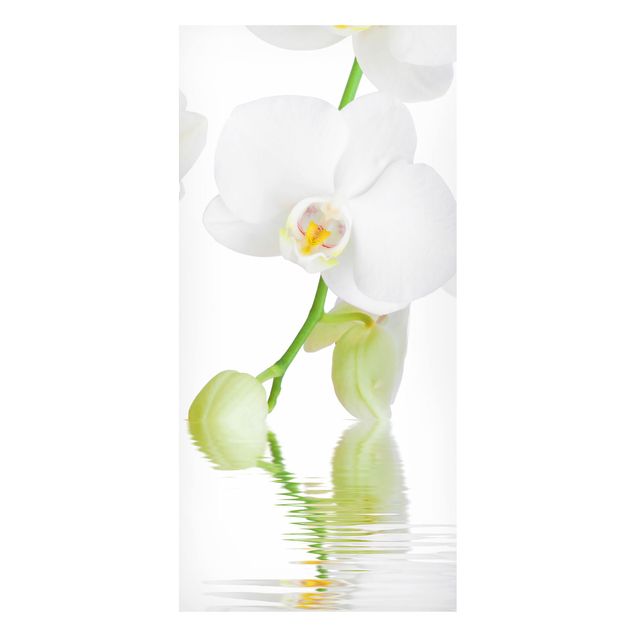 Orchid print Spa Orchid - White Orchid