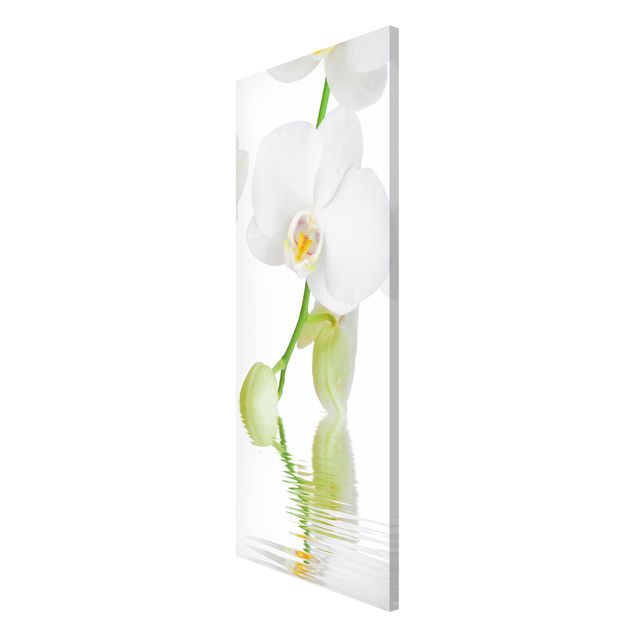 Magnet boards flower Spa Orchid - White Orchid