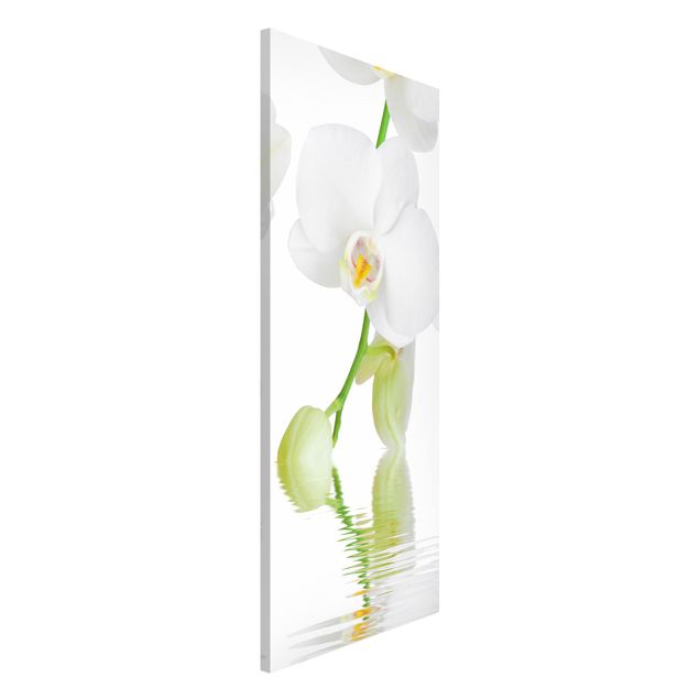 Kitchen Spa Orchid - White Orchid