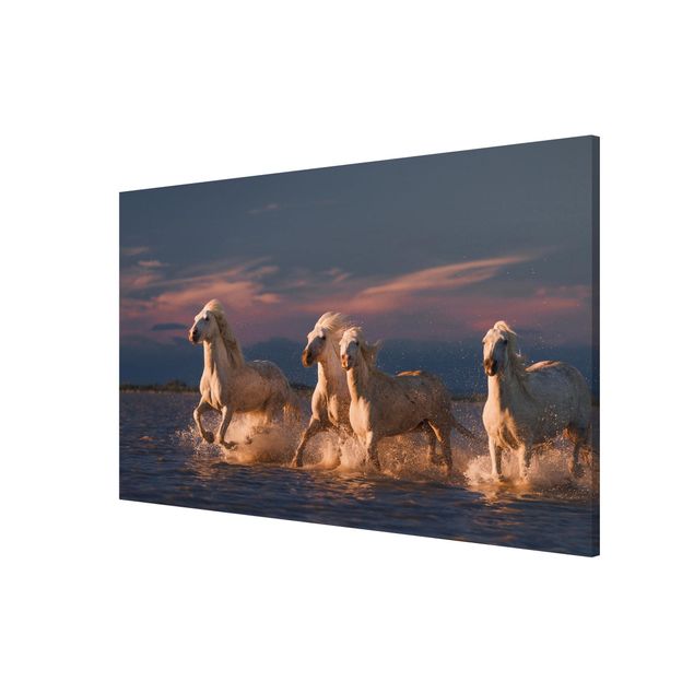 Magnet boards animals Wild Horses In Kamargue