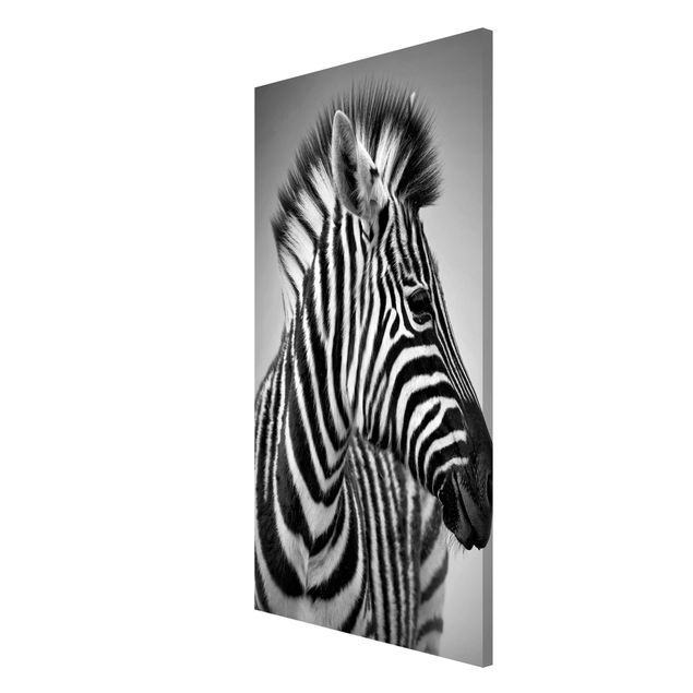 Magnet boards animals Zebra Baby Portrait II