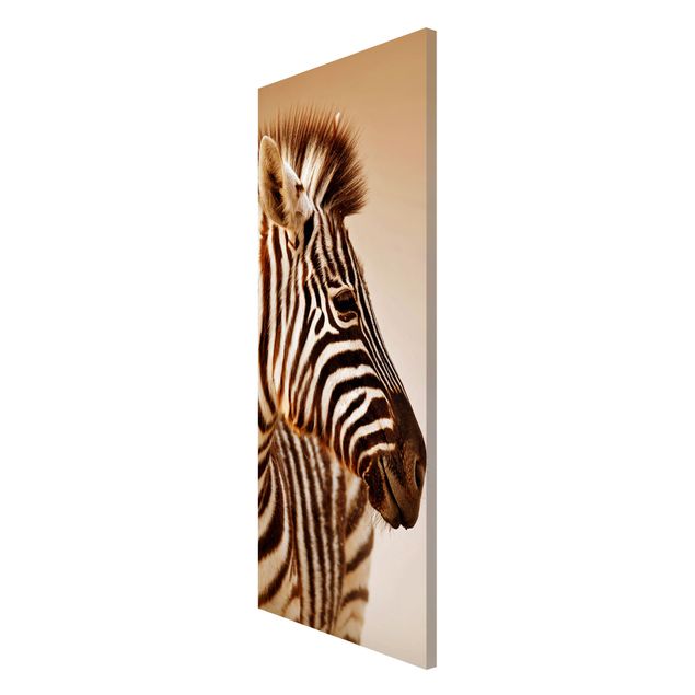 Magnet boards animals Zebra Baby Portrait