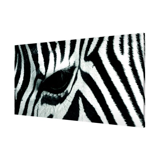 Magnet boards animals Zebra Crossing