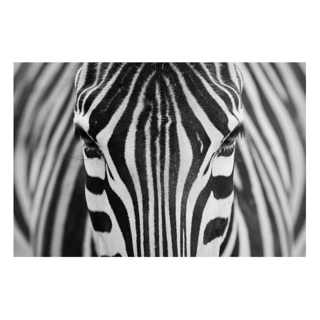 Magnet boards animals Zebra Look