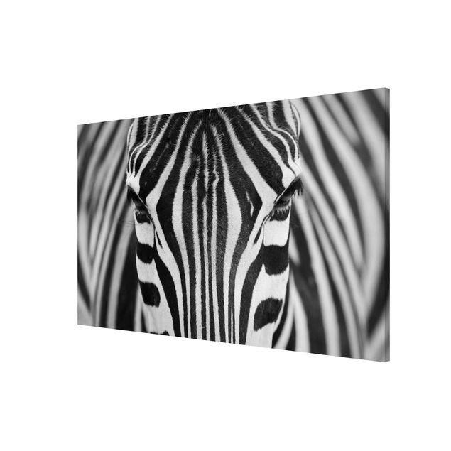 Magnet boards animals Zebra Look