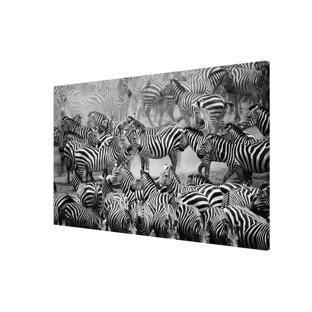 Magnet boards animals Zebra herd II