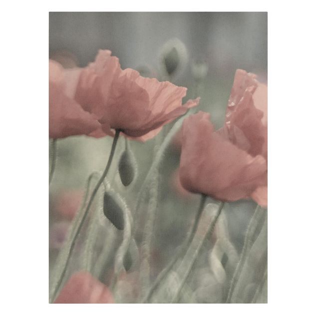 Prints flower Picturesque Poppy