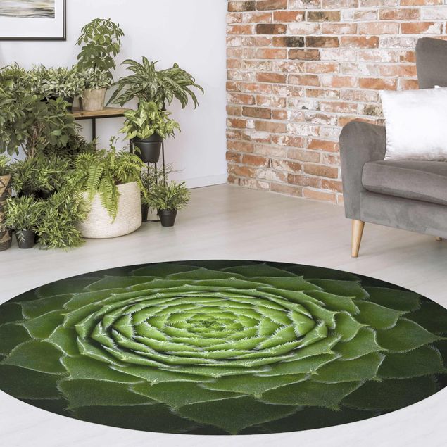 contemporary rugs Mandala Succulent Plant