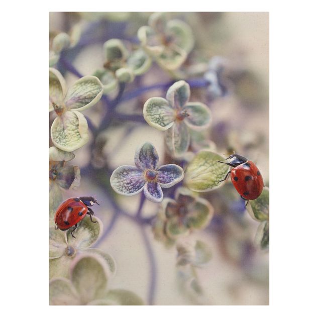Prints Ladybird In The Garden