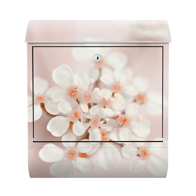 Letterboxes creme Mini Flowers In Pink Light