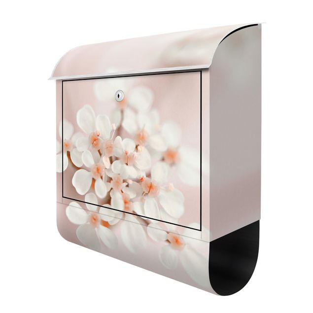 Letterboxes pink Mini Flowers In Pink Light
