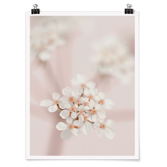 Contemporary art prints Mini Flowers In Pink Light