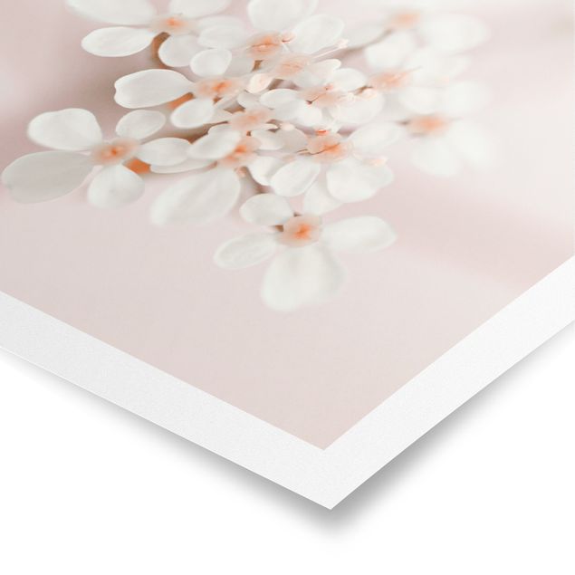 Monika Strigel Art prints Mini Flowers In Pink Light