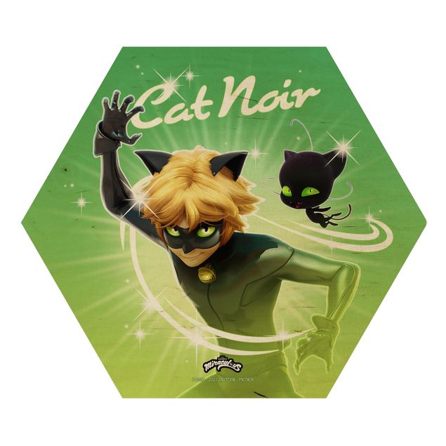 Green art prints Miraculous Cat Noir And Plagg
