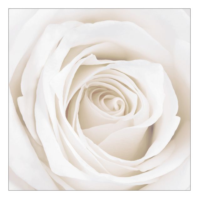 Adhesive films for furniture Pretty White Rose