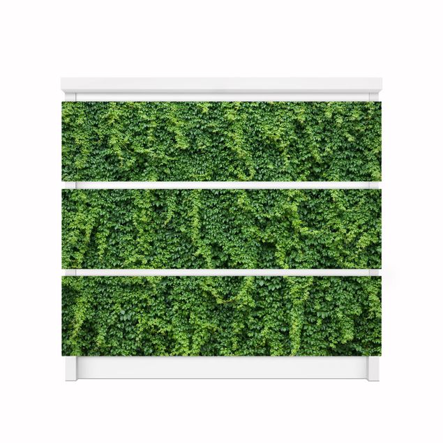 Adhesive films green Ivy