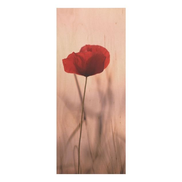 Wood prints flower Poppy Flower In Twilight