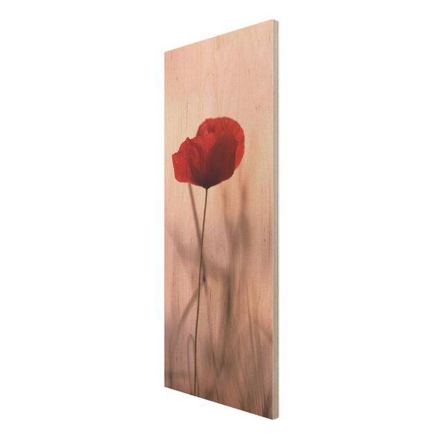 Monika Strigel Art prints Poppy Flower In Twilight