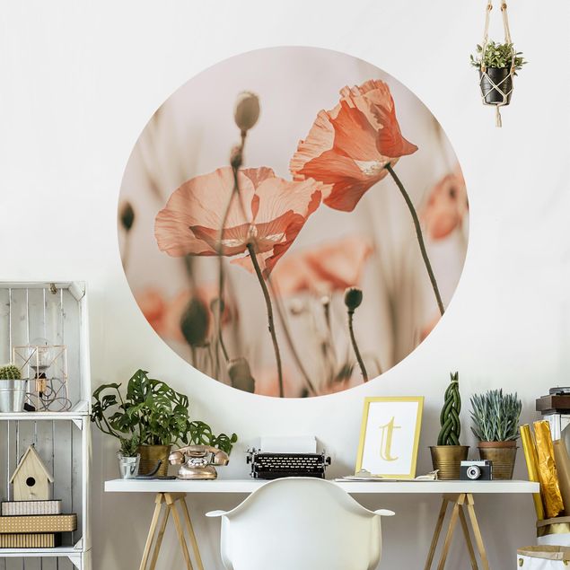 Modern wallpaper designs Poppy Flowers In Summer Breeze