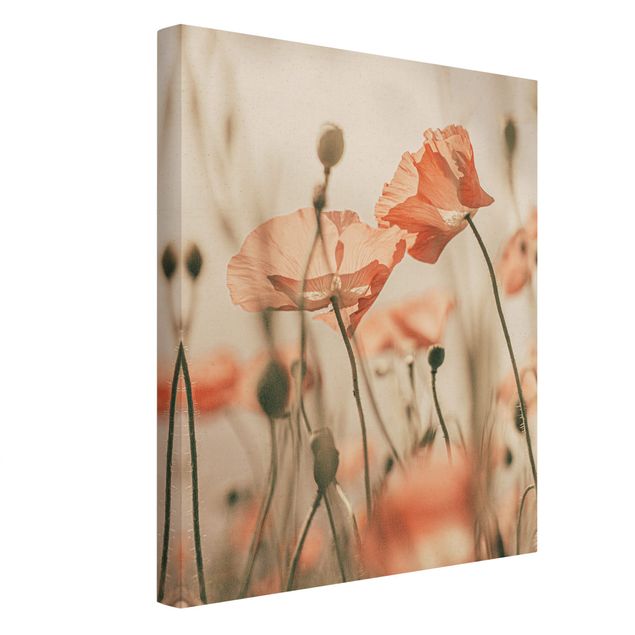 Contemporary art prints Poppy Flowers In Summer Breeze