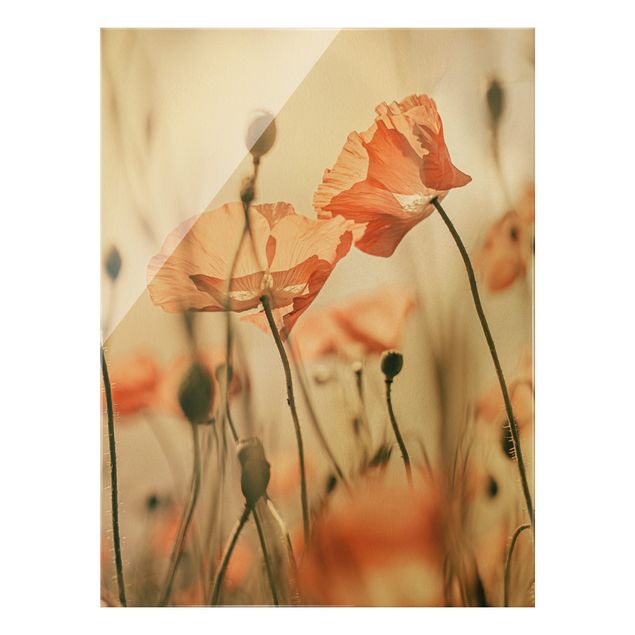 Floral canvas Poppy Flowers In Summer Breeze