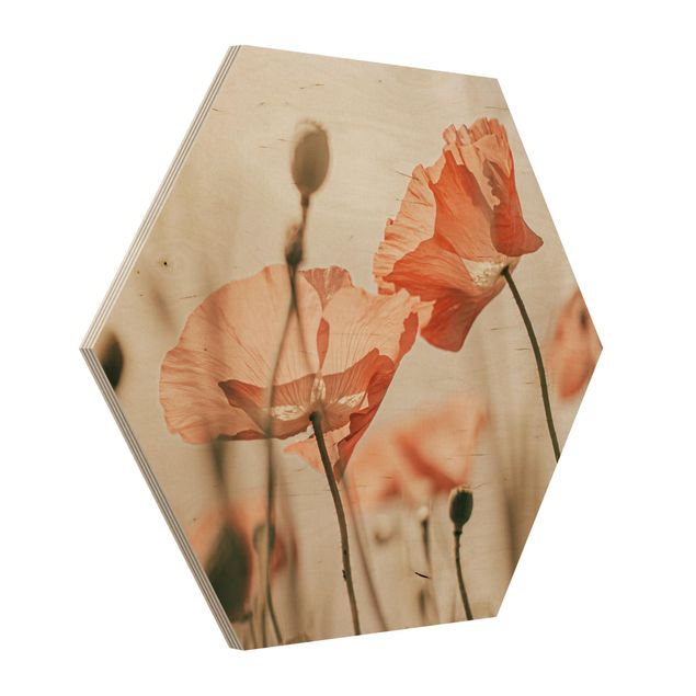 Floral canvas Poppy Flowers In Summer Breeze