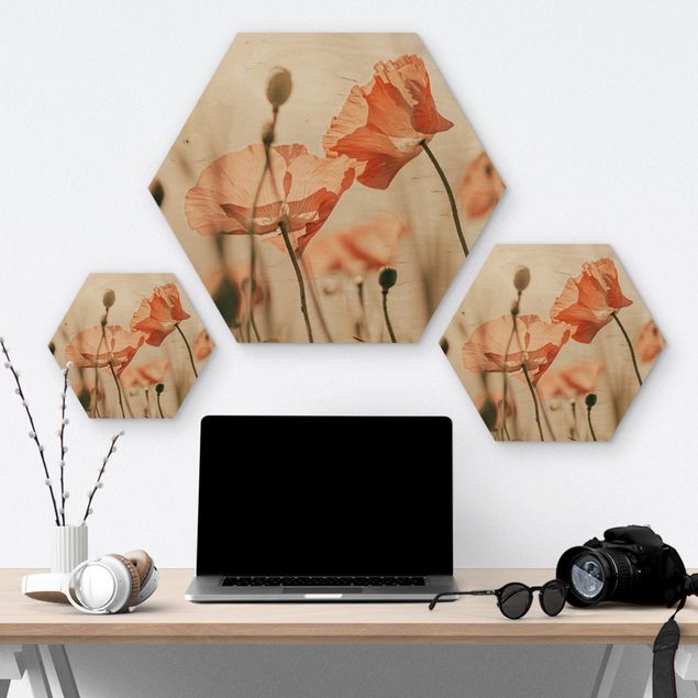 Wood photo prints Poppy Flowers In Summer Breeze
