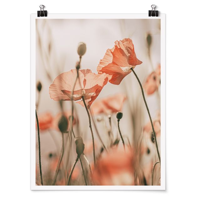 Prints flower Poppy Flowers In Summer Breeze