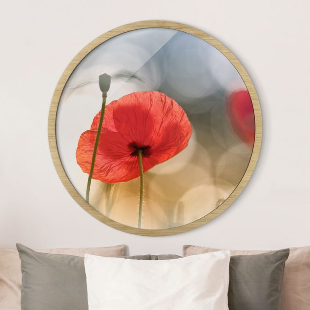 Poppies wall art Poppy In The Morning